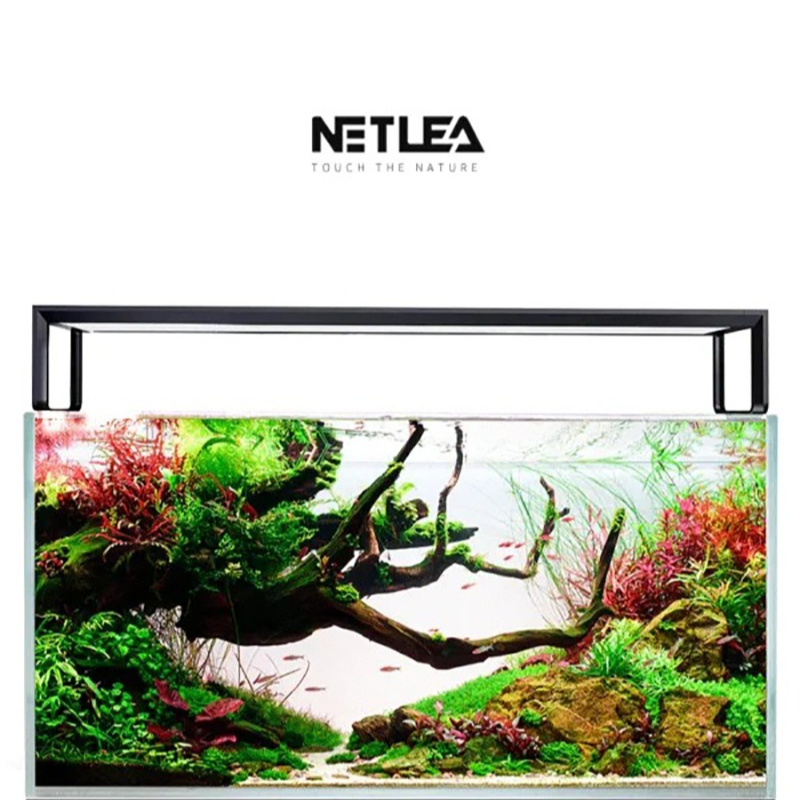 Wifi Led Dimmer - Netlea AT5S V3 Smart Wifi APP