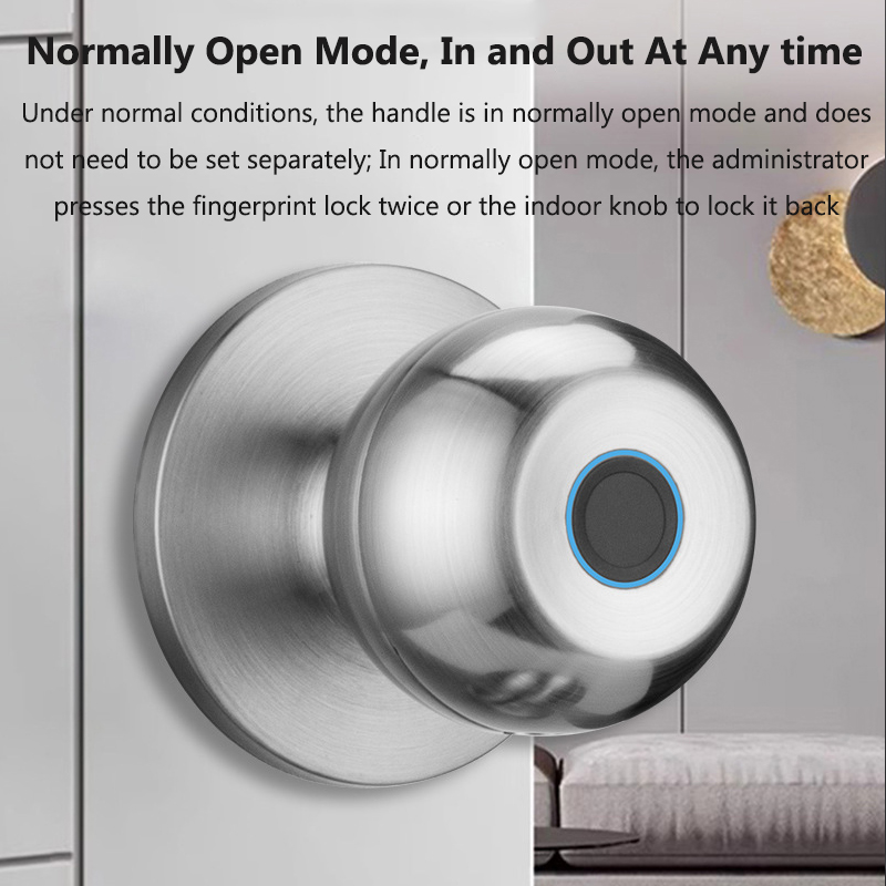 Tuya Door Lock Smart Fingerpri - огляд і ціна Smart Home Lock