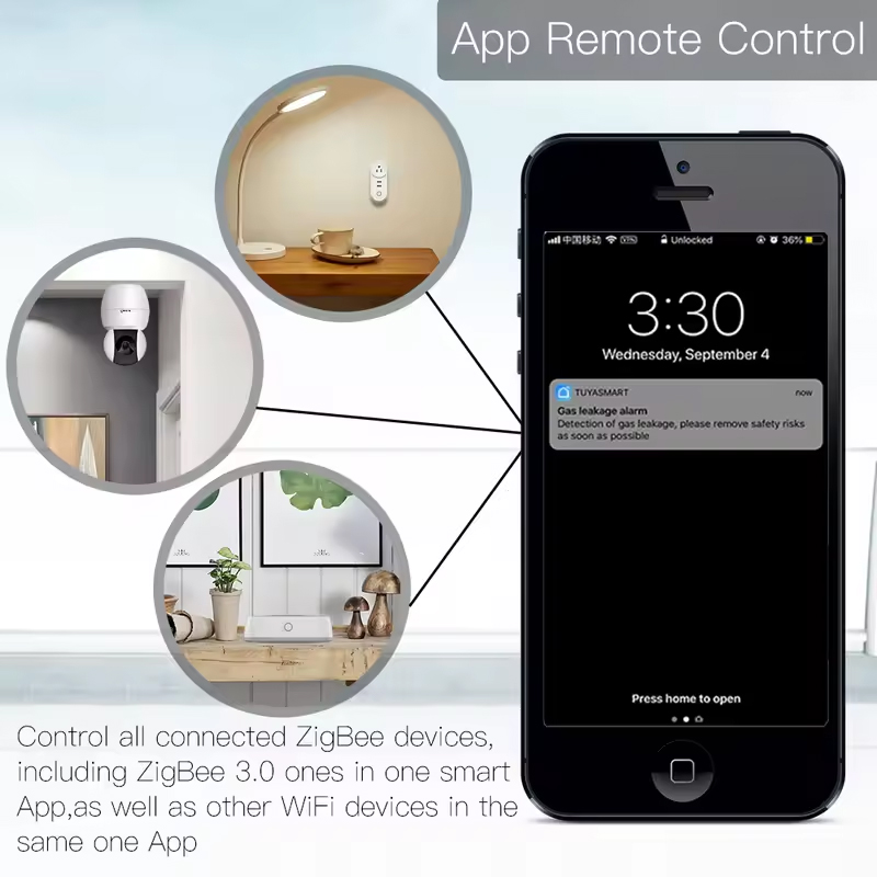 Moes Tuya ZigBee 3.0 Smart Gat - огляд і ціна Smart Home Vimar