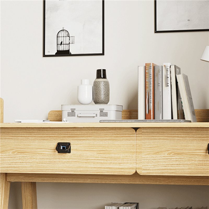 N13R-(Durable) 3X Smart Drawer - огляд і ціна Smart Home Lock