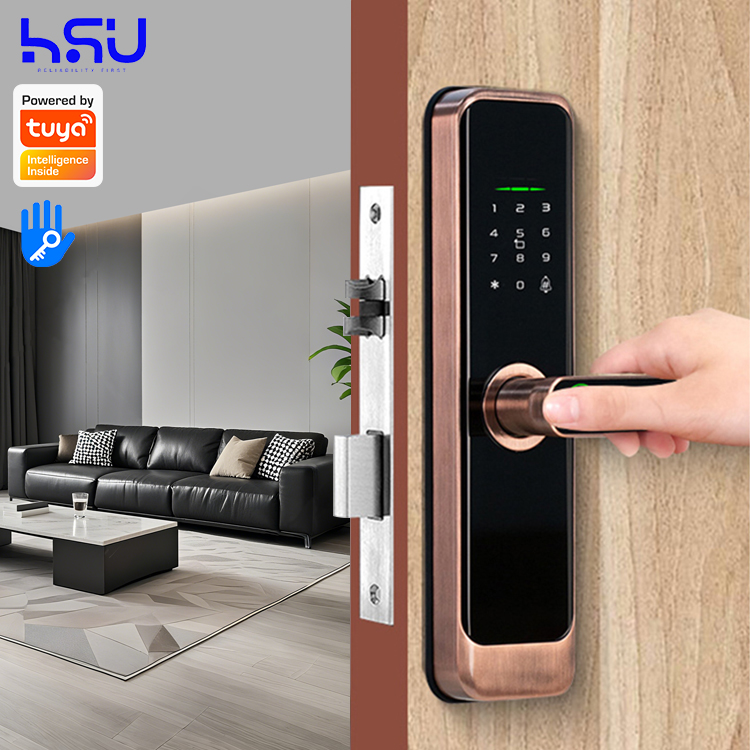 Digital Smart Doorlock Passcod - огляд і ціна Smart Home Lock