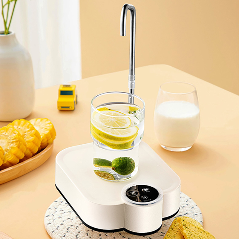 Smart Electric Water Pump Rech - огляд і ціна Smart Home Yam Pounder