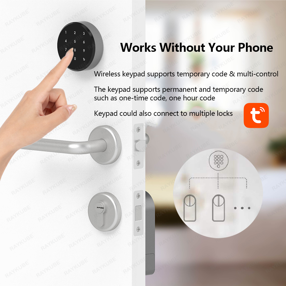 RAYKUBE A1 Pro Tuya BEL Smart  - огляд і ціна Smart Home Lock