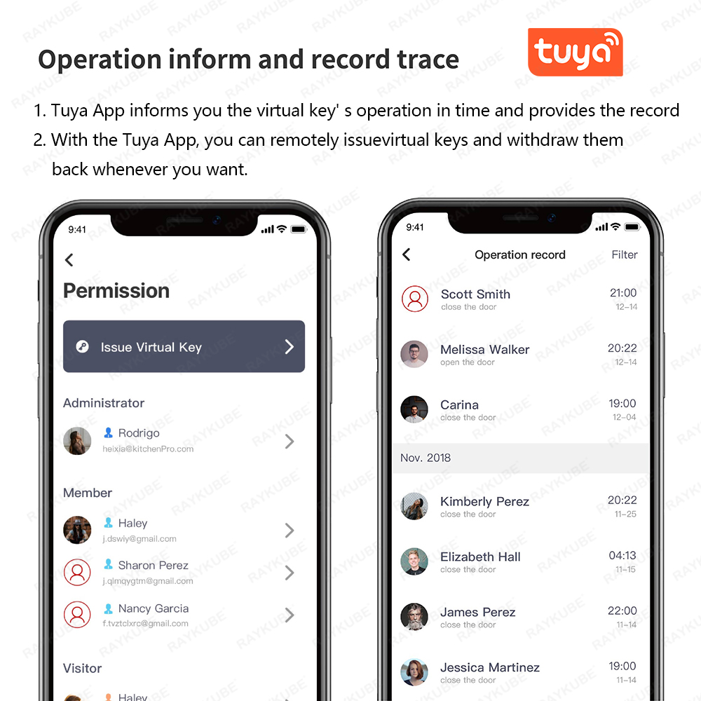 RAYKUBE A1 Pro Tuya BEL Smart  - огляд і ціна Smart Home Lock