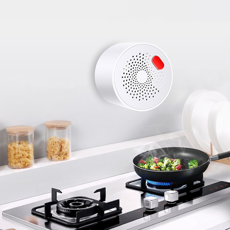 Tuya Smart Home Wifi Natural G - огляд і ціна Smart Home Network