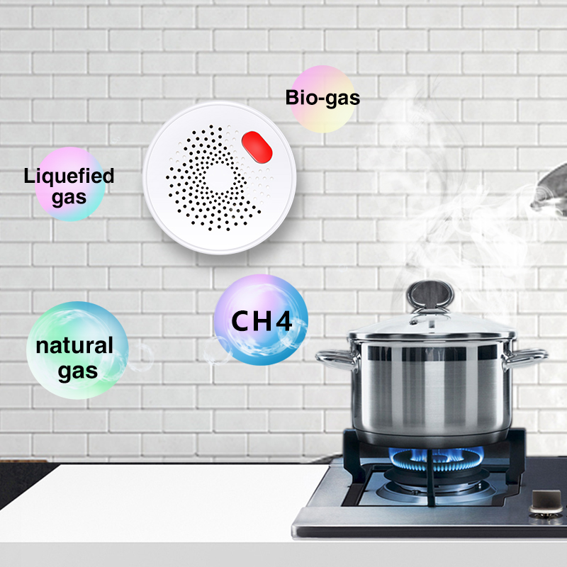 Tuya Smart Home Wifi Natural G - огляд і ціна Smart Home Network