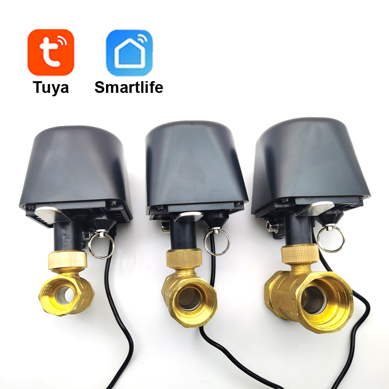 Tuya WiFi or Zigbee Water Valv - огляд і ціна Smart Home Google Assistant